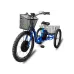 Электрический трицикл Horza Stels Trike 24-T2 1500W