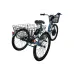 Электрический трицикл Horza Stels Trike 24-T1 1500W